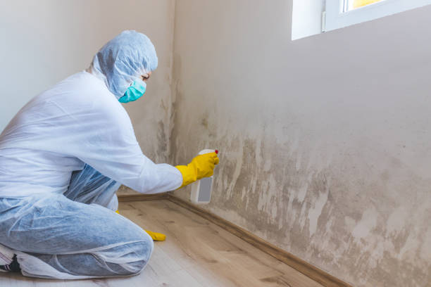 Licensed Crawl Space Mold Removal service in Manchester, VA - WQB Mold Removal