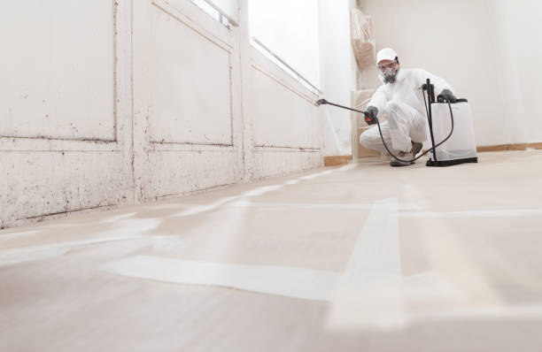 24/7 Emergency Crawl Space Mold Removal experts in Manchester, VA