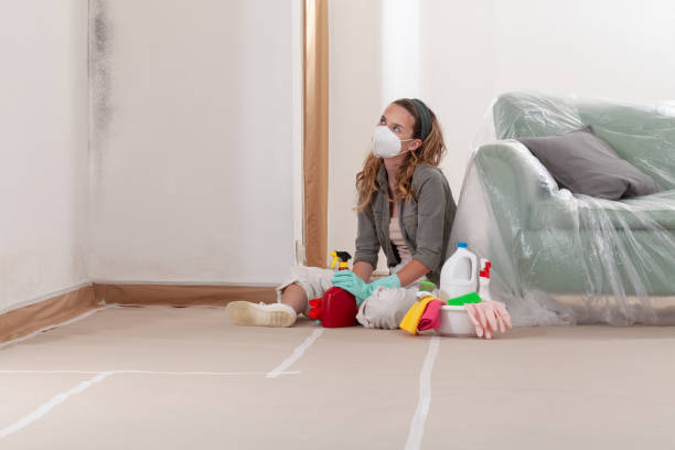 Reliable Crawl Space Mold Removal contractor in Manchester, VA by WQB Mold Removal