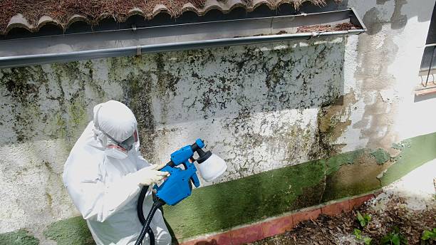 Top rated local Crawl Space Mold Removal specialists in Manchester, VA
